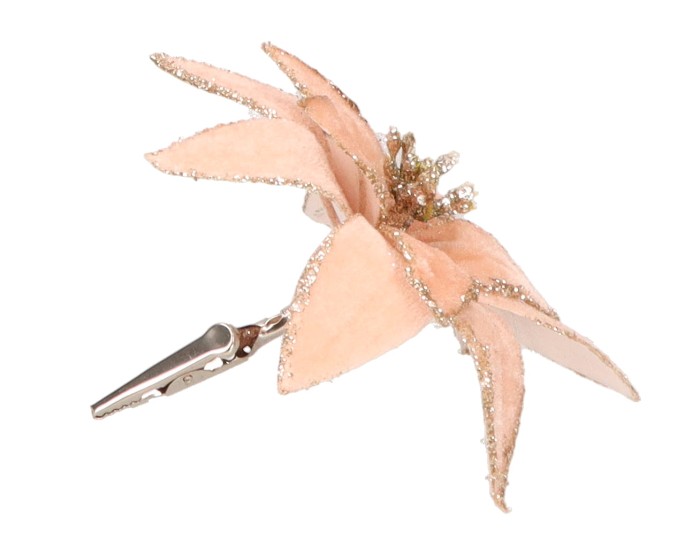 Gwiazda betlejemska na klipsie śr. 13cm. ASC26492 – zdjęcie 2