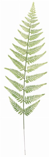 Wholesale artificial leaves