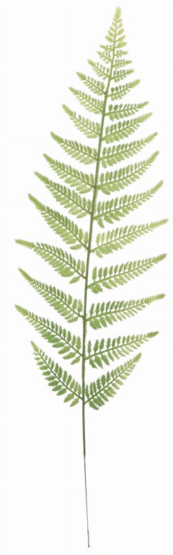 ASC25776 LIŚĆ SZTUCZNY 65CM_1.jpg