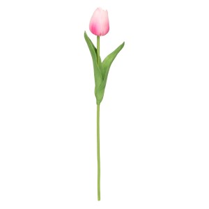 tulipan piankowy pojedynczy 32cm
