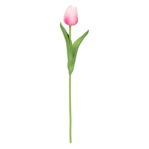 tulipan piankowy pojedynczy 32cm