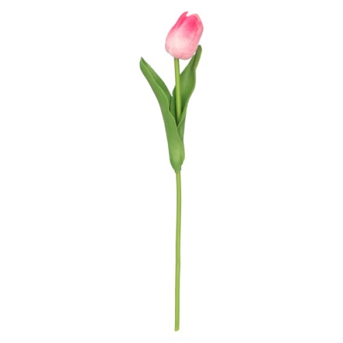 tulipan piankowy pojedynczy 32cm