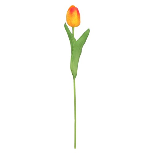 tulipan piankowy pojedynczy 32cm