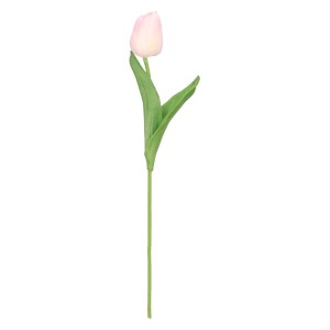 tulipan piankowy pojedynczy 32cm