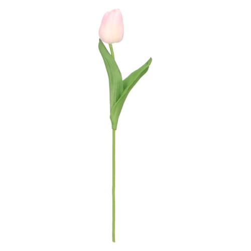 tulipan piankowy pojedynczy 32cm