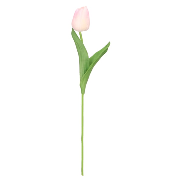 tulipan piankowy pojedynczy 32cm