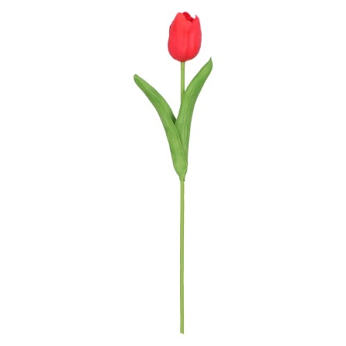 tulipan piankowy pojedynczy 32cm