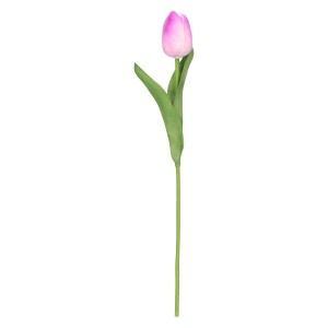 tulipan piankowy pojedynczy 32cm