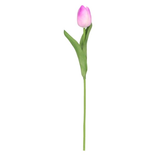 tulipan piankowy pojedynczy 32cm