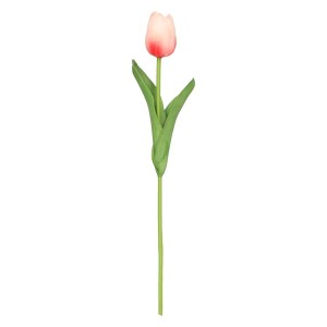 tulipan piankowy pojedynczy 32cm