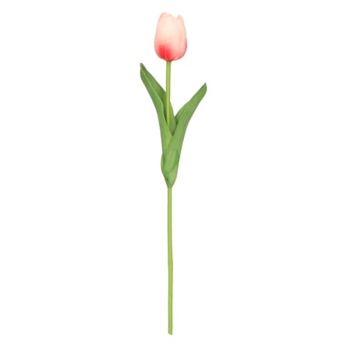 tulipan piankowy pojedynczy 32cm