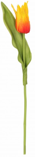 Tulipan piankowy pojedynczy kwiat sztuczny 33 cm AST50576- mix 8 kolorów