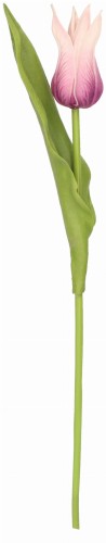Tulipan piankowy pojedynczy kwiat sztuczny 33 cm AST50576- mix 8 kolorów