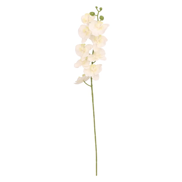 Storczyk gałązka plastikowa wys. 70cm ASC27596- mix 6 kolorów, biały