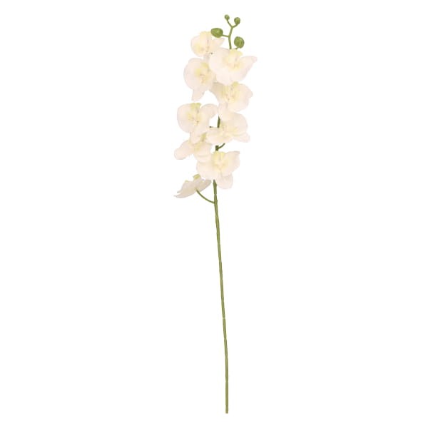 Storczyk gałązka plastikowa wys. 70cm ASC27596- mix 6 kolorów, biały