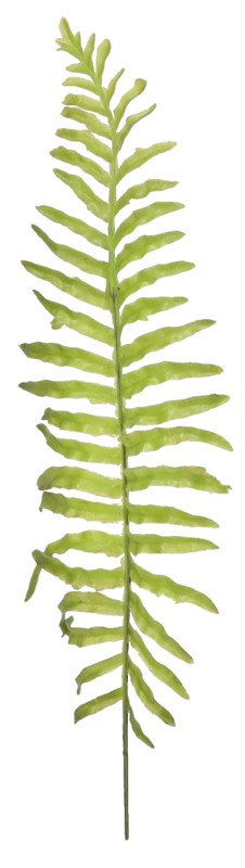 Liść sztuczny paproci wys. 50 cm ASC25288-3