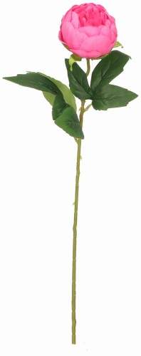 Piwonia gałązka sztuczna wys. 49 cm AST50336- mix 6 kolorów