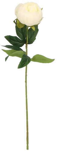 Piwonia gałązka sztuczna wys. 49 cm AST50336- mix 6 kolorów