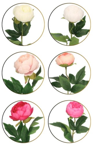 Piwonia gałązka sztuczna wys. 49 cm AST50336- mix 6 kolorów