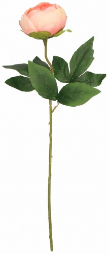 Piwonia gałązka sztuczna wys. 49 cm AST50336- mix 6 kolorów