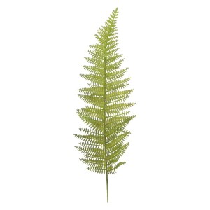 Liść paproci 50cm ASC25287-3