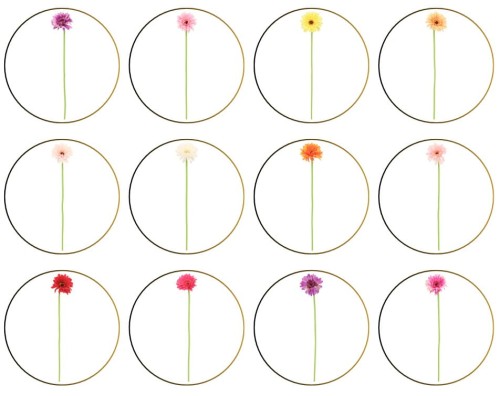 Gerbera gałązka sztuczna wys. 52 cm ASC27753- mix 12 kolorów