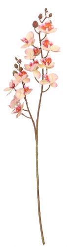 Storczyk gałązka sztuczna wys. 65 cm AST50373- mix 6 kolorów, brzoskwiniowy