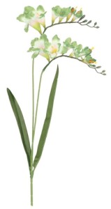 Frezja gałązka sztuczna wys. 62 cm ASC27814- mix 5 kolorów, jasno zielony