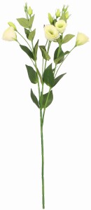 Eustoma gałązka sztuczna wys. 75 cm ASC27824- mix 5 kolorów, kremowy