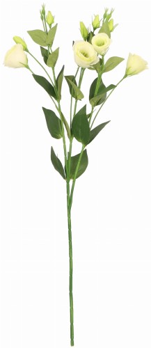 Eustoma gałązka sztuczna wys. 75 cm ASC27824- mix 5 kolorów, kremowy
