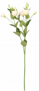 Eustoma gałązka sztuczna wys. 75 cm ASC27824- mix 5 kolorów, biały