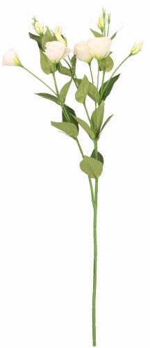 Eustoma gałązka sztuczna wys. 75 cm ASC27824- mix 5 kolorów, biały