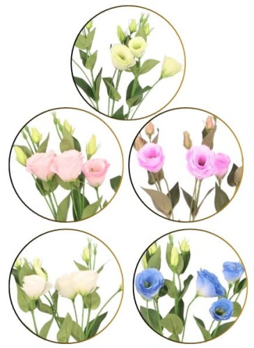 Eustoma gałązka sztuczna wys. 75 cm ASC27824- mix 5 kolorów