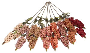 Naparstnica gałązka 75cm ASC27023-mix 8 kolorów – zdjęcie 10