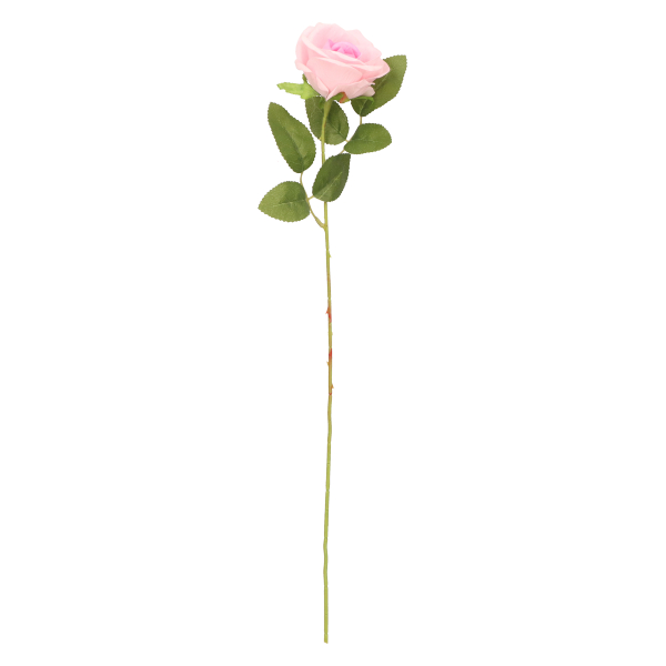 Róża pojedyncza 51cm AST50476 – zdjęcie 4