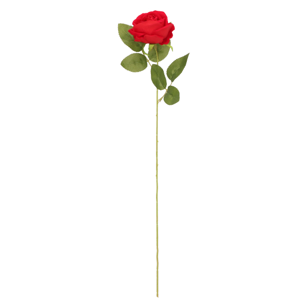 Róża pojedyncza 51cm AST50476 – zdjęcie 6