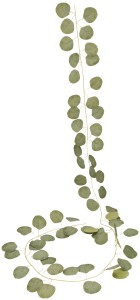 Girlanda eukaliptus ASC27888