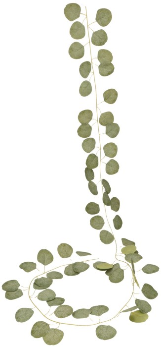 Girlanda eukaliptus ASC27888