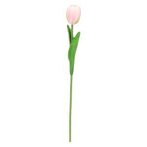Tulipan pojedynczy 34cm AST50512-MIX – zdjęcie 3