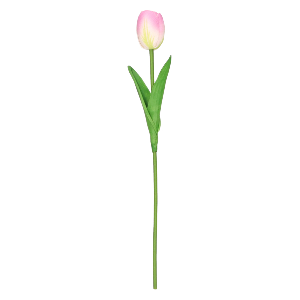 Tulipan pojedynczy 34cm AST50512-MIX – zdjęcie 4
