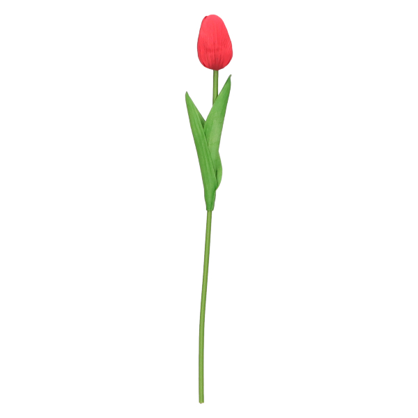 Tulipan pojedynczy 34cm AST50512-MIX – zdjęcie 8