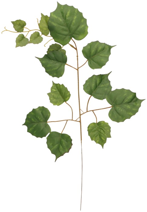 Liść sztuczny 55cm ASC28087