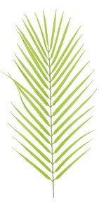 Liść sztuczny paproć 53 cm ASC27870