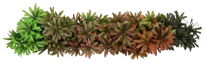 Roślina sztuczna 34cm AST50622-MIX – zdjęcie 2