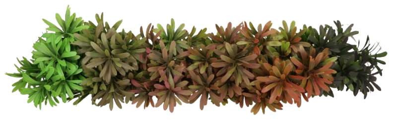 Roślina sztuczna 34cm AST50622-MIX – zdjęcie 2