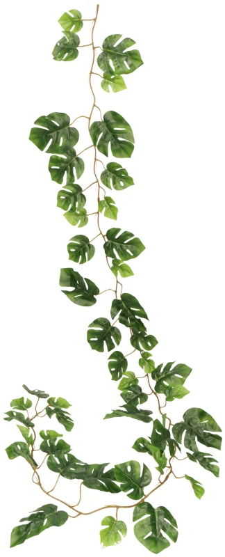 Girlanda monstera ASC27896