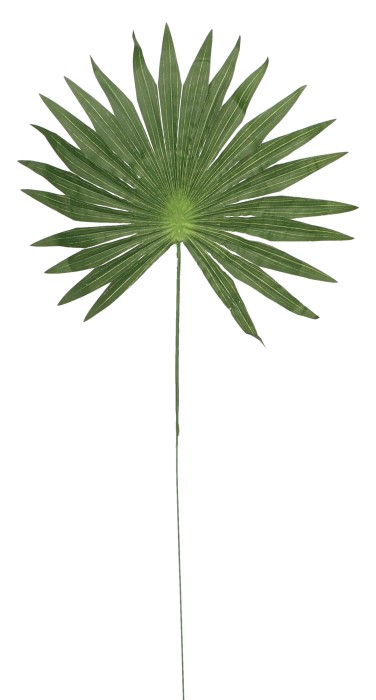Liść sztuczny 50cm ASC25263