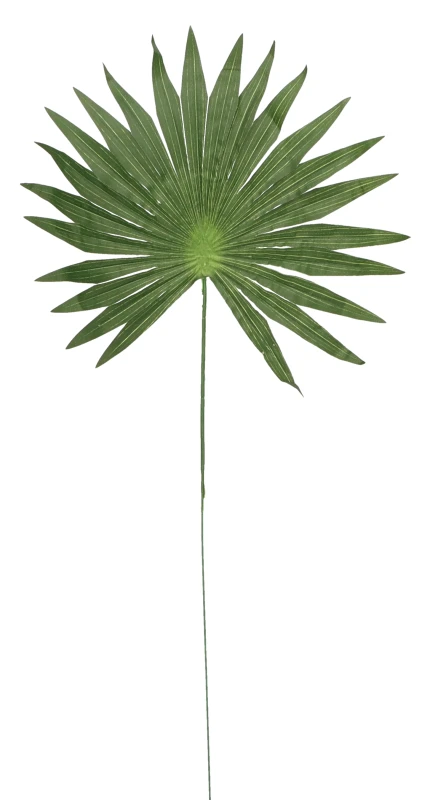 Liść sztuczny 50cm ASC25263