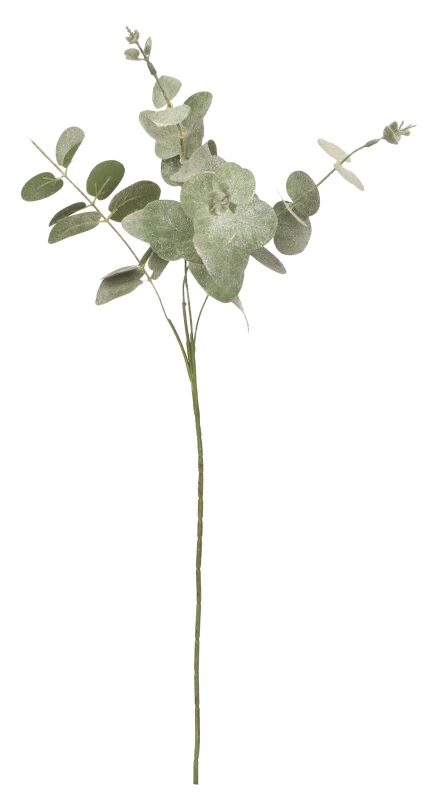 Gałązka świąteczna eukaliptus 58cm ASC27099