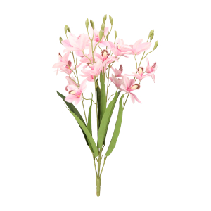 Cymbidium bukiet 55cm ASC240625